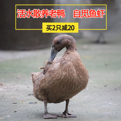 Ӫɽũɢ35ѼѼѼѼ