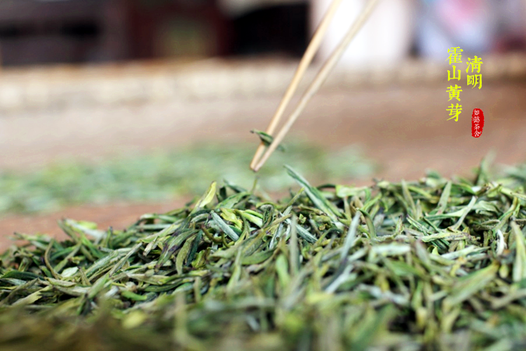 如懿茶舍 霍山黄芽 清明前特级手工黄茶320g礼盒高山茶叶