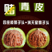 柏年久福赌青皮文玩核桃狮子头麻核桃官帽满天星四座楼青皮虎头