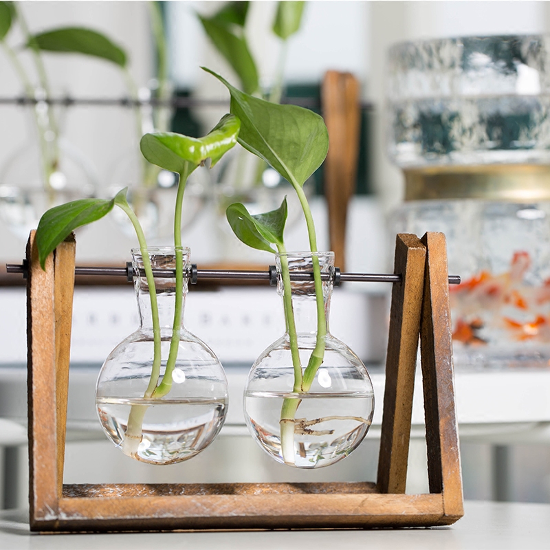 迷你花瓶玻璃创意水培花瓶容器小清新文艺办公室绿萝植物灯泡摆件