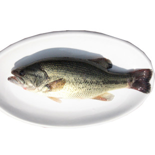  ֱ ˮ ʻͺʺ Ʒʳ650g