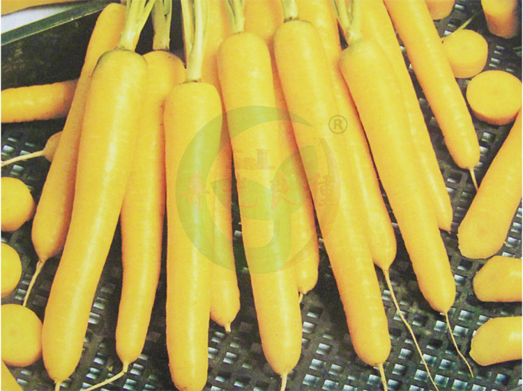 正品[黄石港饼]湖北黄石港饼评测 食博园黄石港