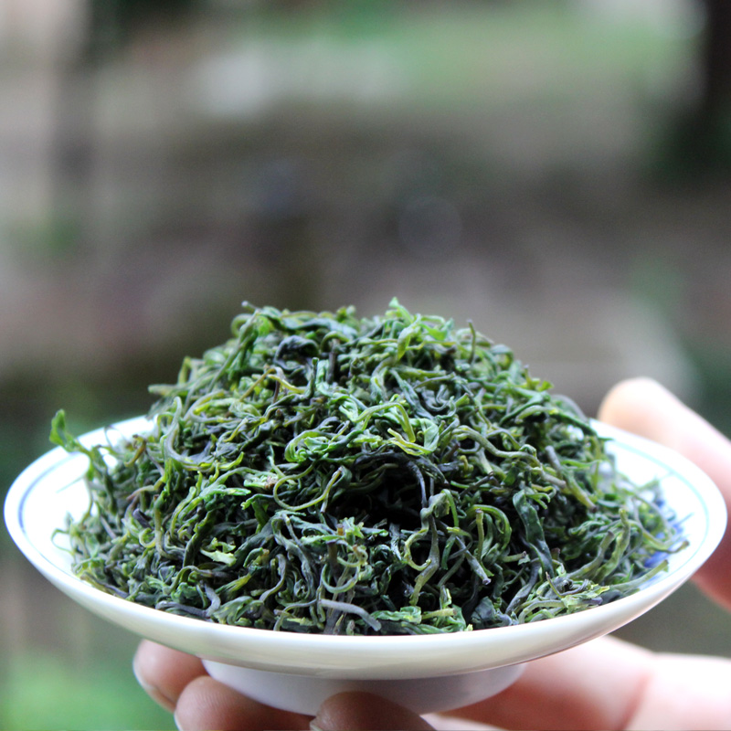 2016年新茶小叶苦丁茶 茶叶青山绿水青山绿水茶250克 包邮