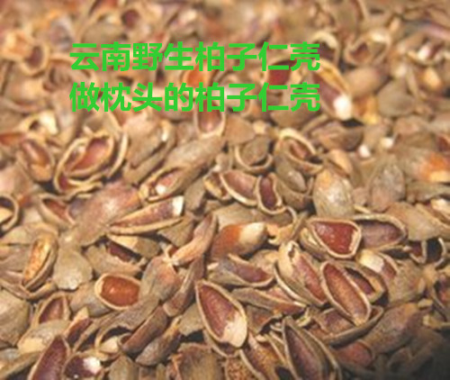 云南野生散装柏子仁壳柏子壳装柏壳枕头白发脱发少白头枕头