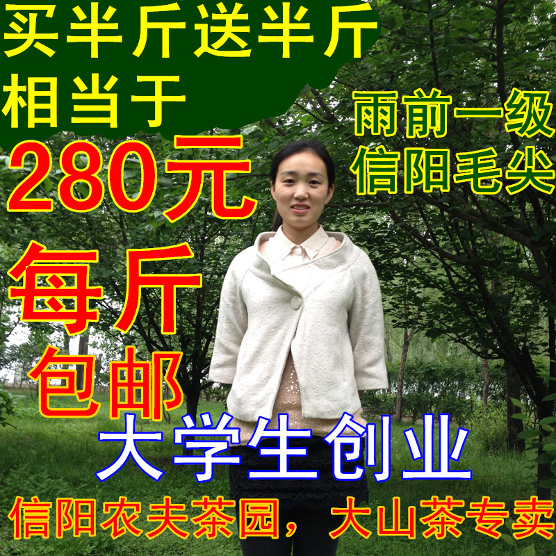 绿茶 信阳毛尖2016年新茶雨前一级250克茶叶自产自销黑龙潭包邮