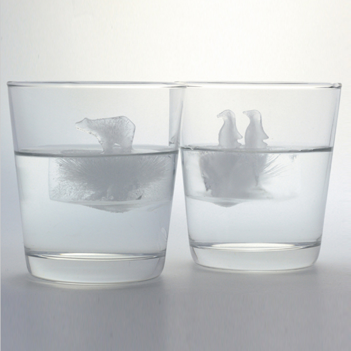 正品[极地景观地理图片]极地景观评测 极地地区