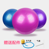 800克 郑多燕健身操搭配专用套餐 健身球 65cm 加厚防爆瑜伽球
