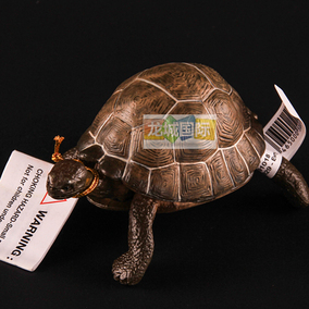 正品[加拉帕戈斯陆龟]加拉帕戈斯陆龟价格评测