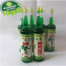花鱼共养营养液36cc 盆栽水培花卉植物营养液绿叶 养花推荐