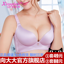 套装 一片式无痕无钢圈文胸聚拢性感小胸罩丰胸薄款 向大大内衣正品