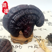长白山灵芝整个紫灵芝50g特价 包邮 拍二发三 天天特价