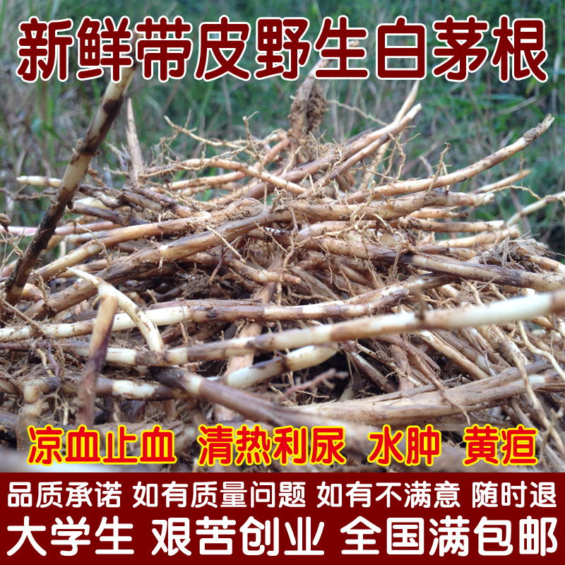 任意5件起包邮 新鲜野生白茅根/茅草根 250克  凉血止血 流鼻血