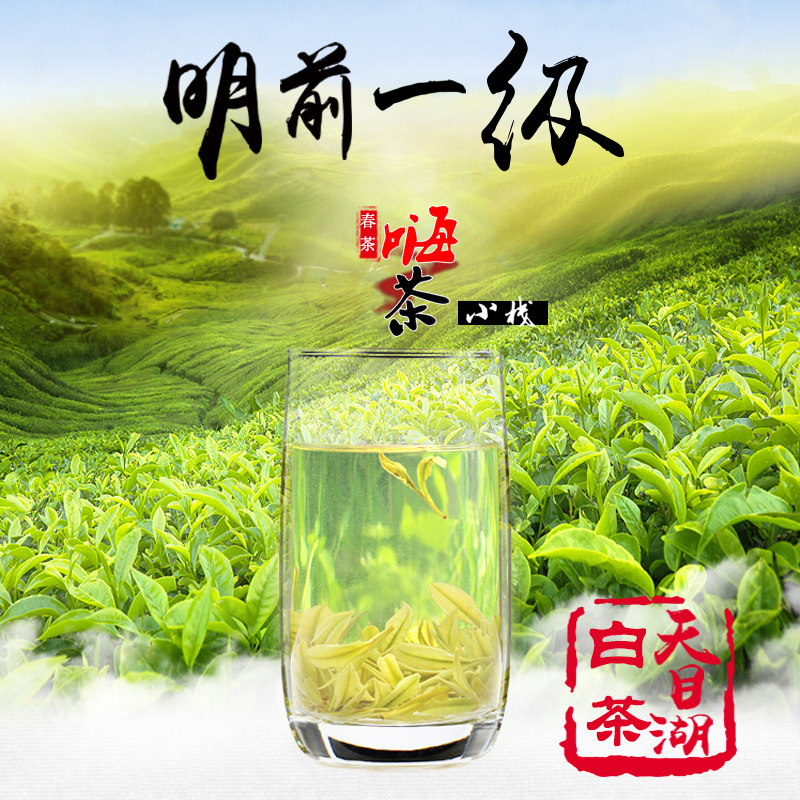 2016新茶春茶 明前一级溧阳天目湖白茶 明前富硒有机茶叶50g包邮