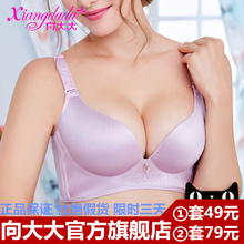 套装 一片式无痕无钢圈文胸聚拢性感小胸罩丰胸薄款 向大大内衣正品