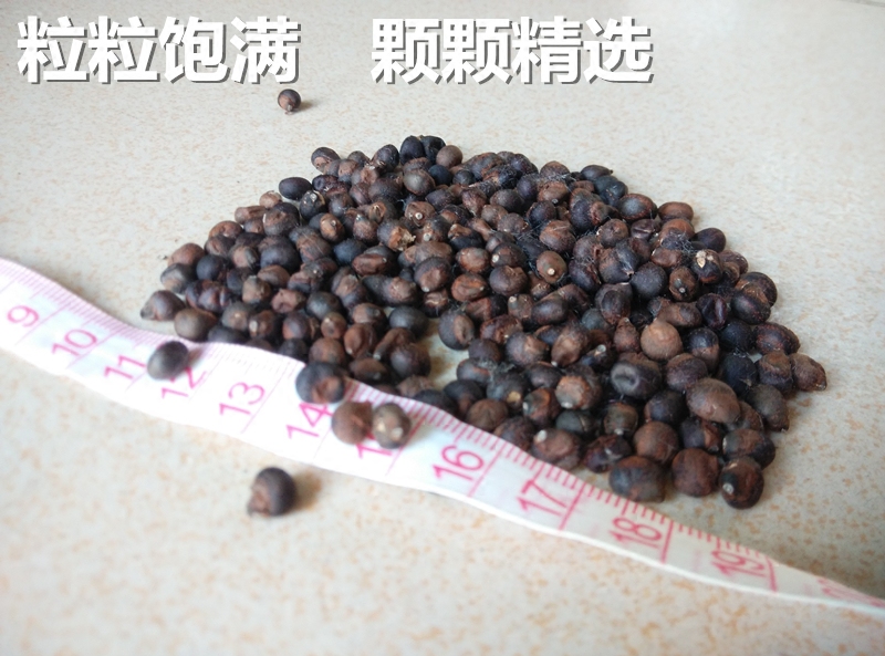 印尼木棉花籽保健枕芯料 木棉子护颈椎枕头天然枕用料