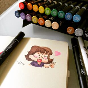 英国chameleon 变色马克笔渐变色marker pens color tones
