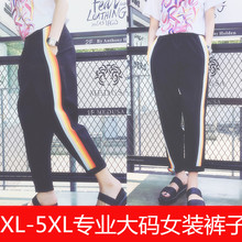九分裤 特加大200斤胖MM休闲显瘦运动哈伦裤 女装 韩版 春秋新款 大码