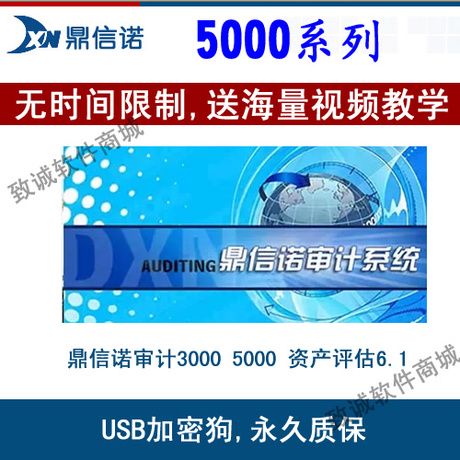 淘宝网购物-鼎信诺审计软件 5000系列 3000系