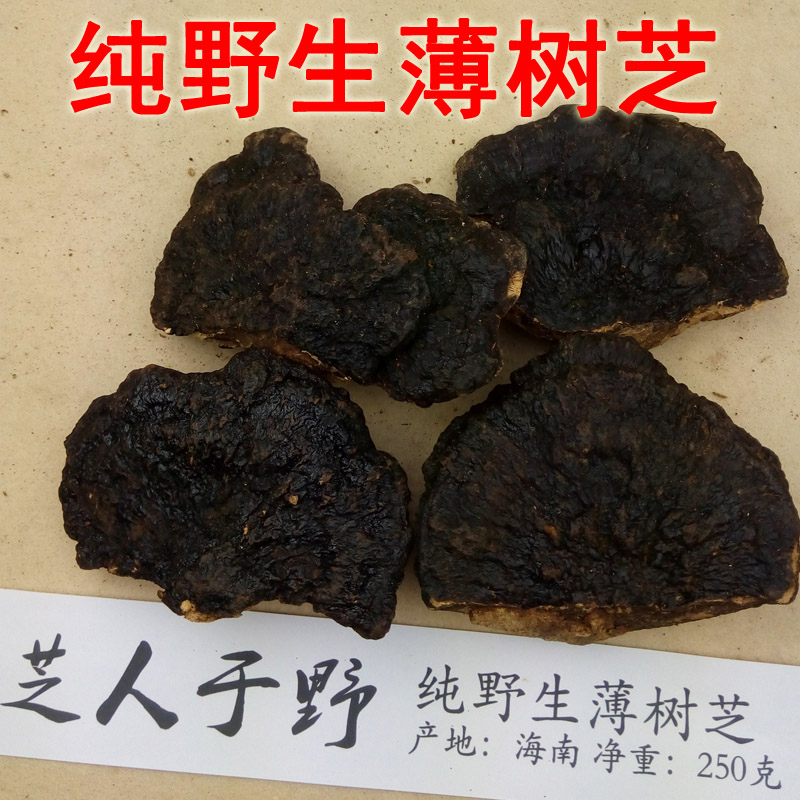 薄树芝 野生薄树灵芝纯天然野生灵芝 薄树层孔菌 薄树林芝 250克