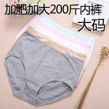三角裤 女纯棉柔软弹性短裤 内裤 头200斤胖mm特大码 加肥加大女装
