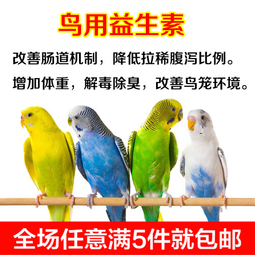 鸟用益生素 微生态益生菌 虎皮 牡丹鹦鹉 防止拉稀腹泻 5g