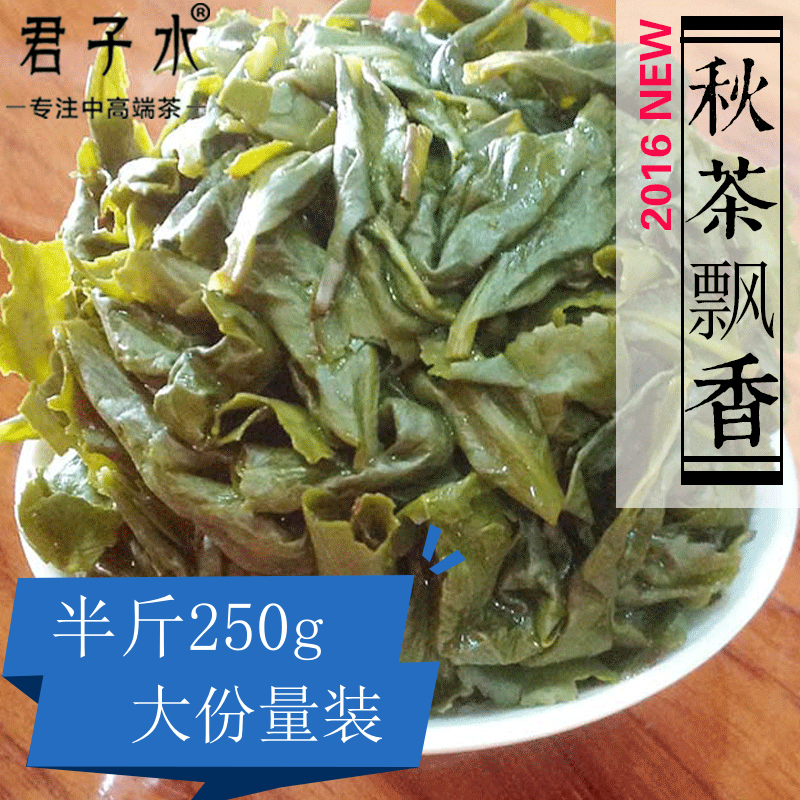 福建安溪铁观音茶叶 清香型秋茶tgy 散装2016新茶 袋装250g浓香型