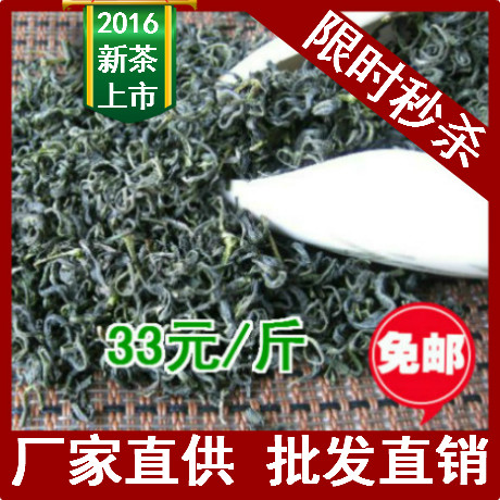 2016明前新绿茶叶 苏州洞庭山碧螺春炒青散装 高山茶叶500g包邮