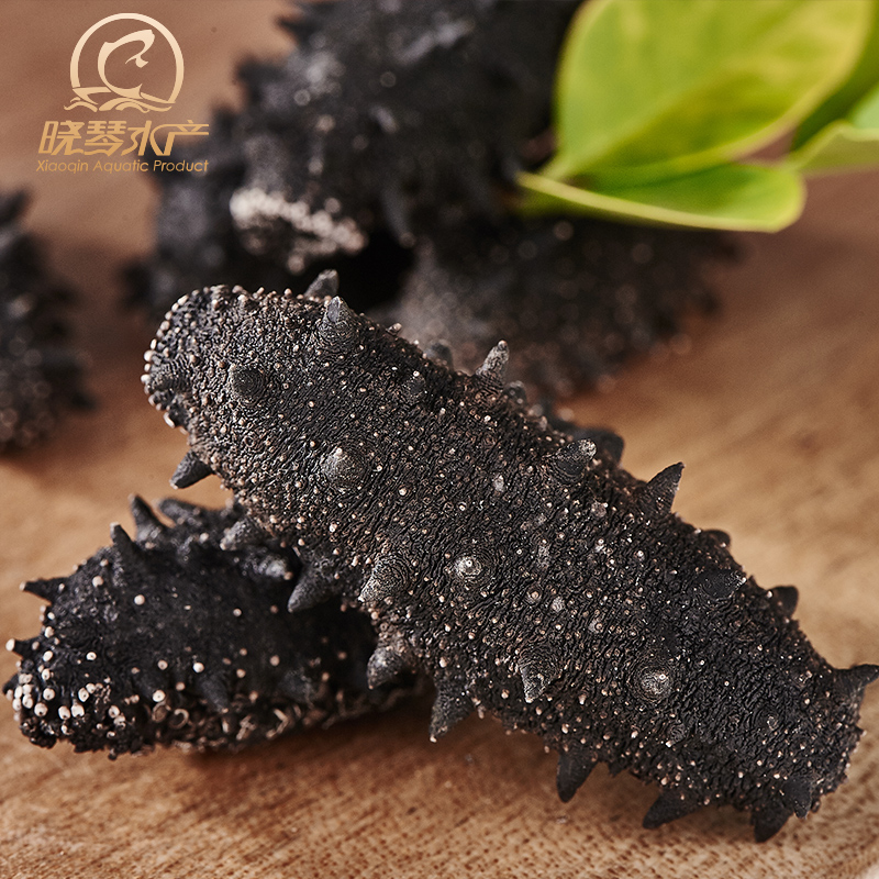 晓琴水产 7年野生淡干海参50g 干参高品质辽参 刺参大连海参干货