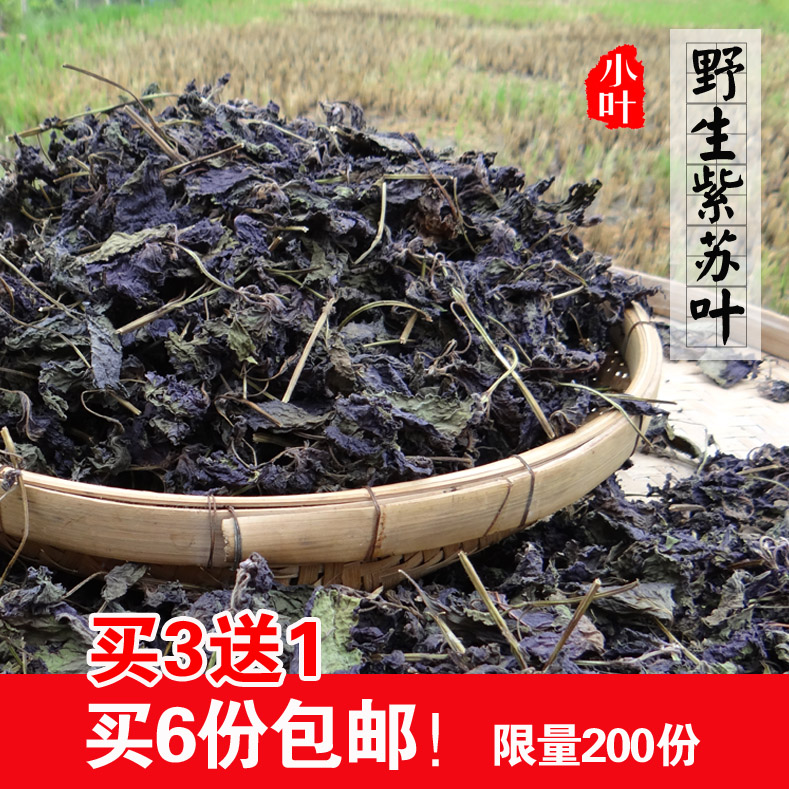 野生紫苏叶 干 2016农家自晒干紫苏叶干货 去腥烧鱼虾蟹必备香料