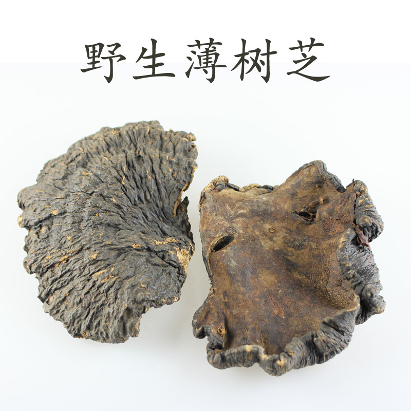 精选纯野生薄树芝树灵芝 薄树层孔菌 薄树林芝 切片磨粉500克包邮