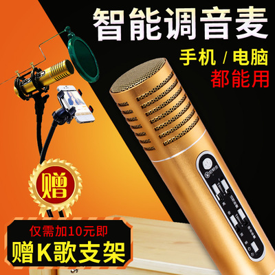 屁颠虫麦克风怎么样,屁颠虫麦克风好吗