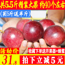 大红果酸爽香甜 广西百香果热带水果新鲜西番莲鸡蛋果现摘5斤精装