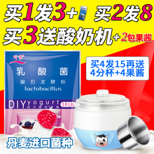 家用进口自制 川秀酸奶发酵剂乳酸菌粉儿童益生菌种做原味酵母粉