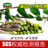 非霍山石斛 仿野生铁皮石斛枫斗 正宗乐清新鲜铁皮石斛鲜条500g