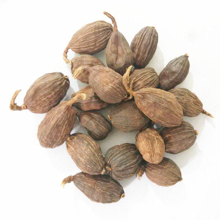包邮◆精品香料 草果500g 卤菜火锅必备  另有八角桂皮
