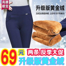 外穿打底裤 秋冬款 子加大码 保暖棉裤 胖mm显瘦女裤 高腰加绒加厚冬裤