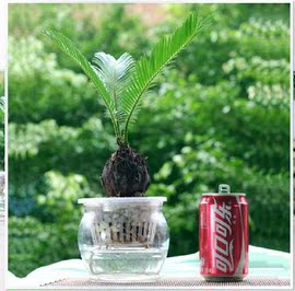 [家具培训后的感想]评价 家具市场调研感想怎么