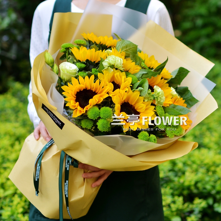 长沙同城鲜花9枝向日葵雏菊高端韩式花束探望节日教师节鲜花