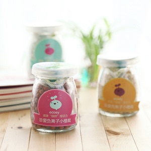 水培盆栽创意办公室盆景