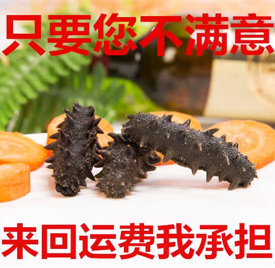 半干海参 拉缸盐辽参大连海参半干拉缸盐野生盐渍刺参500g