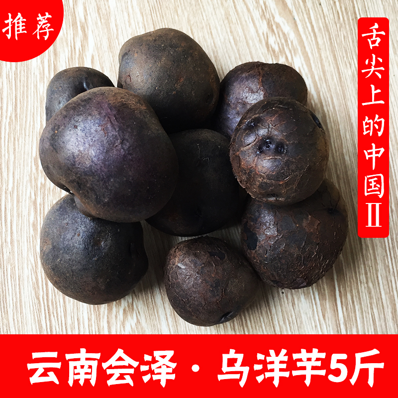 云南紫土豆5斤 现挖新鲜黑土豆 新鲜蔬菜马铃薯 紫土豆新鲜黑金刚