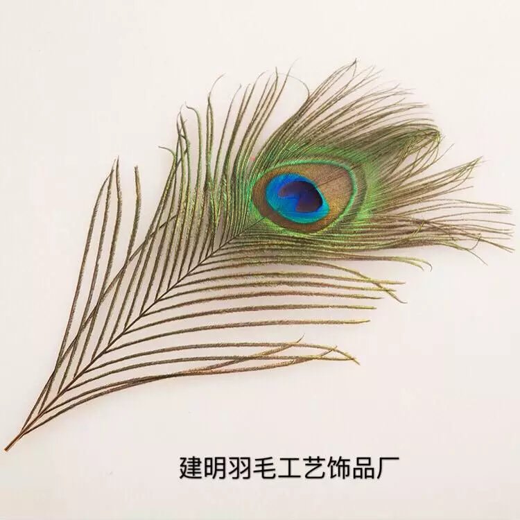 3 . 孔雀的含義和風水的象徵