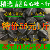 包邮 精选辣木籽大颗正宗印度进口辣木籽印度食用辣木子500g正品