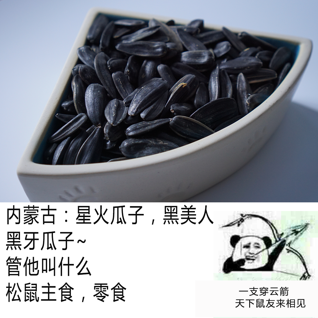 生瓜子 松鼠主食口味零食 黑美人黑牙瓜子 内蒙古特级星火瓜子