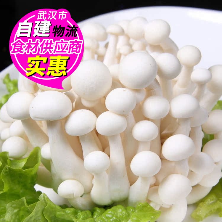 【敏帅生鲜】白玉菇150g/盒 新鲜菌类时鲜菌类新鲜白玉菇