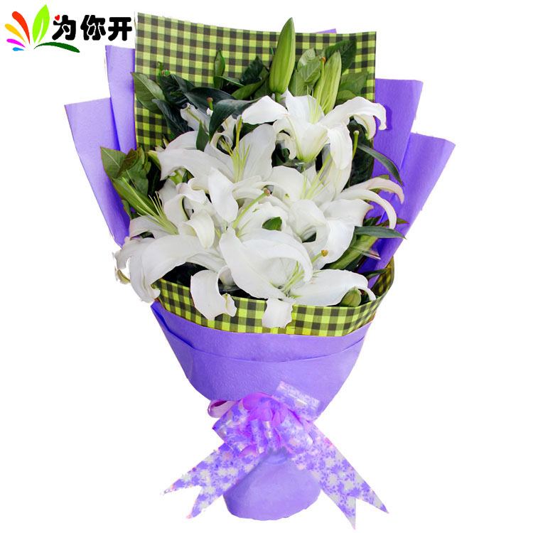 正品[济南翻译]济南翻译公司哪家好评测 济南外