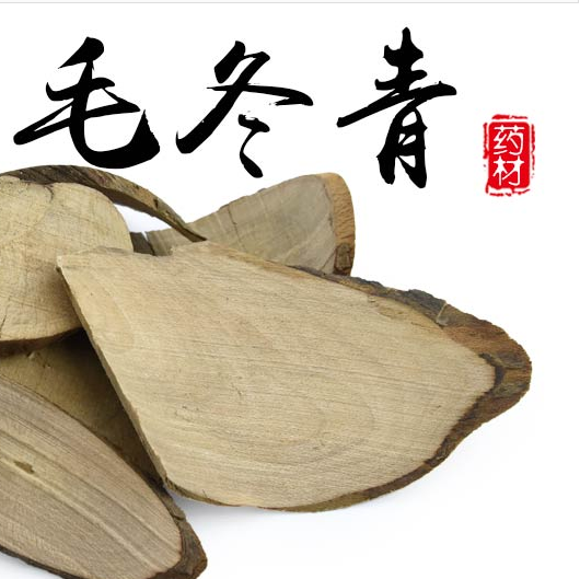 毛冬青 6斤包邮 供应 云南毛冬青茶 正品毛冬青叶 500g