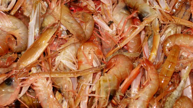 威海特产 鲜活 小船夹虾 味美 肉润 顺丰直达 有营养 新鲜