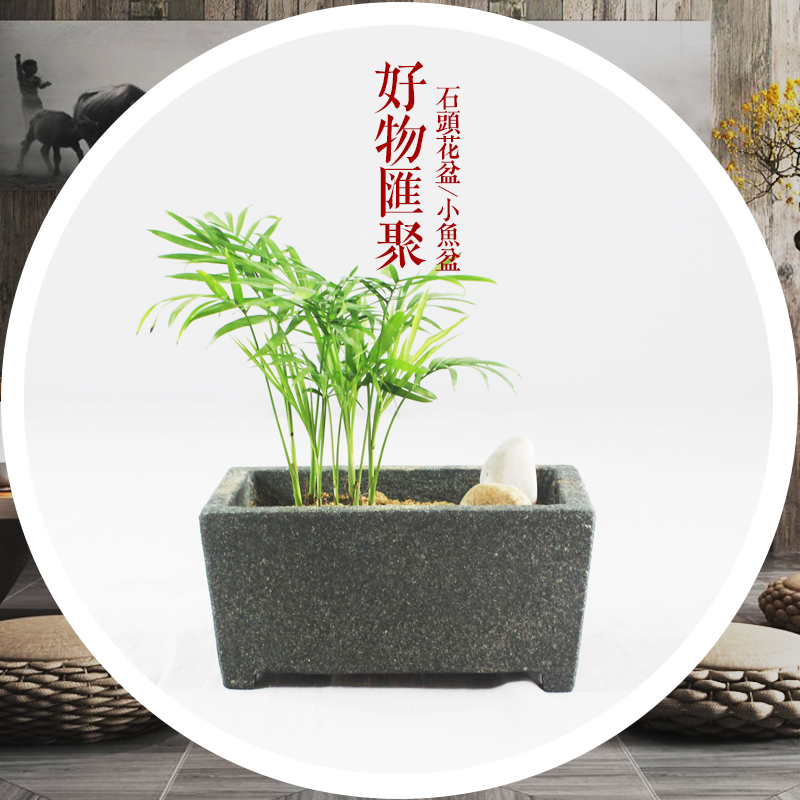 青石鱼缸小石槽长方形养鱼石盆铜钱草水培菖蒲花盆石头天然原石