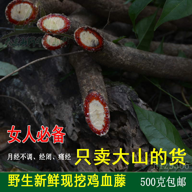 广东野生新鲜鸡血藤 女人必备草药材 农家自挖 凤庆南五味子500克